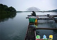 网箱边筏钓技巧