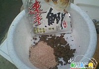 [冬钓]细线小钩钓大鲫