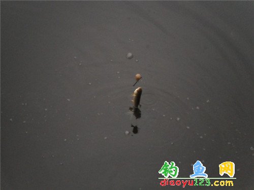 麻子滩水库钓鱼