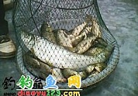 春钓螺丝山水库
