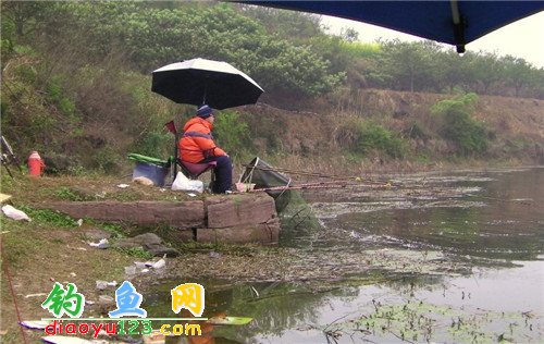 鲁班水库钓草鱼