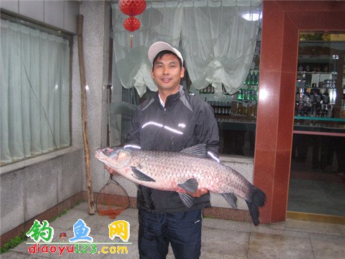 钓到的大青鱼