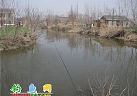 野河钓鲫鱼鲤鱼大爆盆