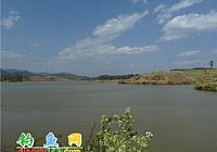 春天首钓禄丰东河水库