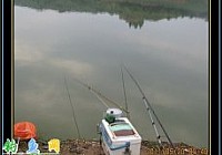 传统钓在珍珠湖水库爽钓鲫鱼鲤鱼翘嘴鲌