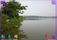 夏季雨后水库爽钓鱼
