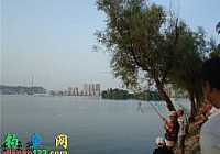 湖北磁湖又出大物,遛鱼70分钟大鱼终入护