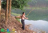 凤亭水库钓鱼钓获三条大鲤鱼
