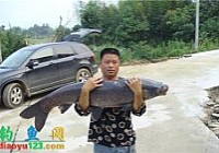 湖南钓友在铁山水库钓获52斤大青鱼