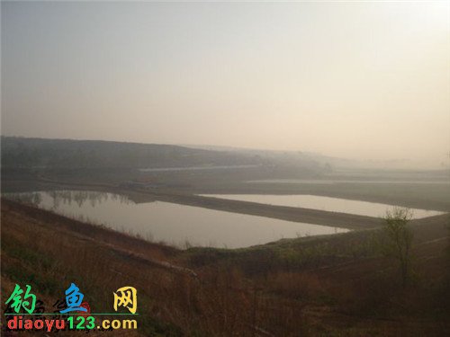 黄河钓点风景