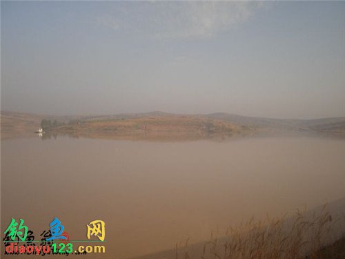 黄河钓点