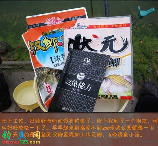 钓鲫鱼