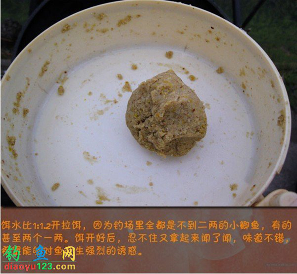 钓鲫鱼