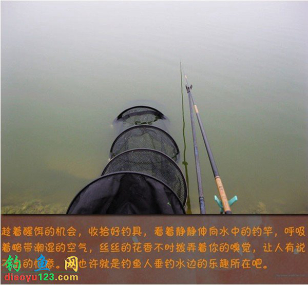 钓鲫鱼