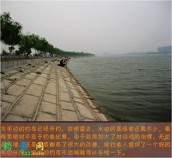 钓鲫鱼