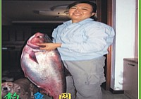巾帼女钓手擒获23斤大白鲢