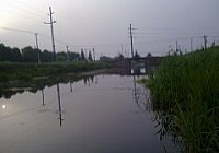 夏季鱼塘狂钓小鲫鱼