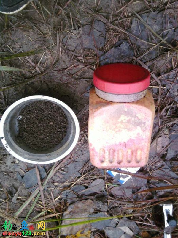 野河钓鲫鱼
