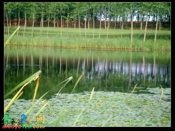 鸣九河风景