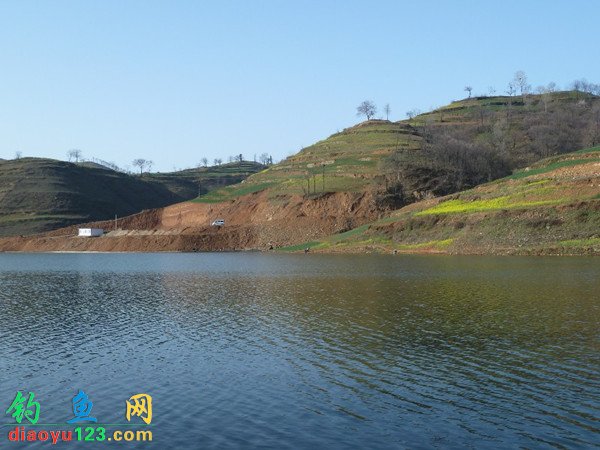 清沟湖钓点