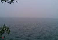 无名水库丸九鱼饵钓大鲤(付配方)