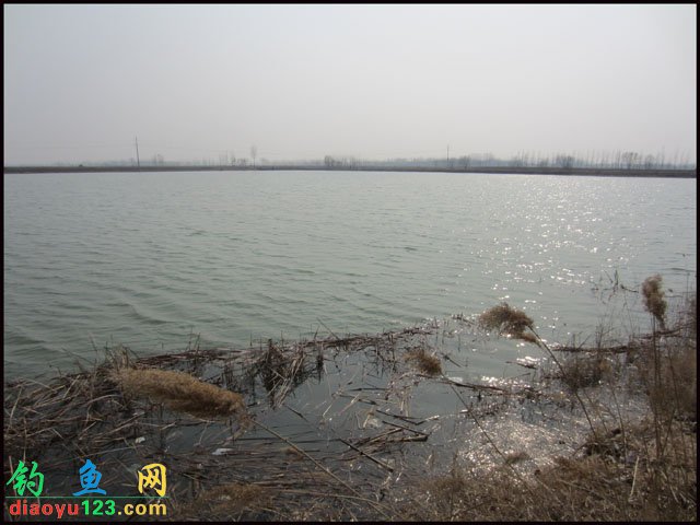 西王水库钓鲫鱼