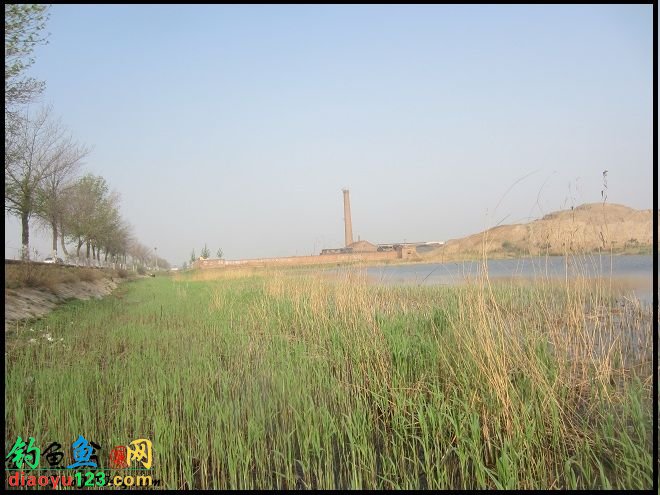 钓点风景