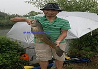 小钩细线钓大鱼(过足遛鱼瘾)