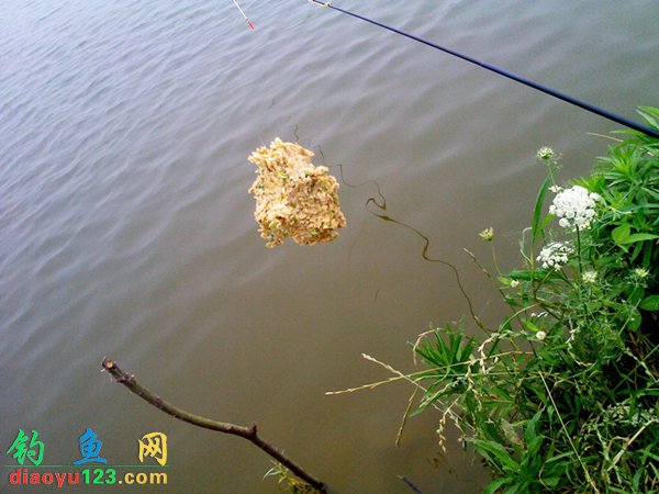 包食钓草鱼