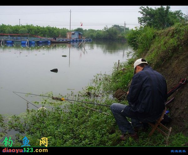 鱼塘风景