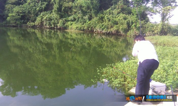 钓到大草鱼