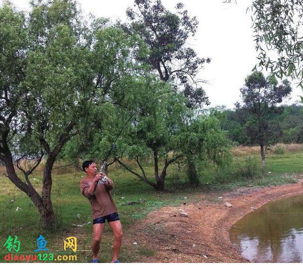 龙泉湖钓鲶鱼