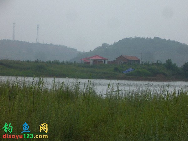 此次垂钓阵地