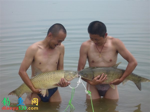 云竹湖垂钓大鲤鱼