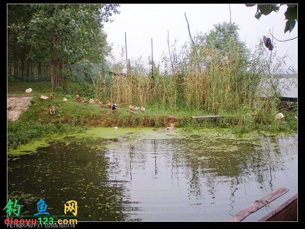 沱湖船钓