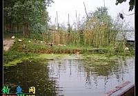 人家钓鱼爆护我们钓鱼满仓?沱湖船钓