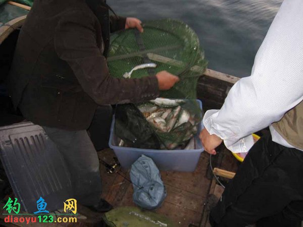 千岛湖钓翘嘴