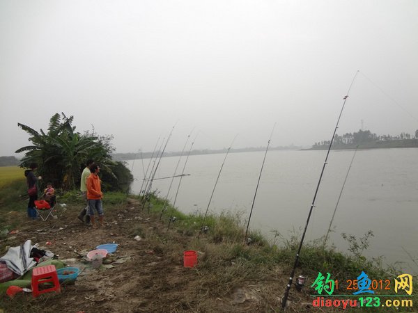 水库海竿钓大青鱼