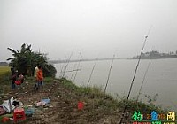 钓友在开平潭江用海竿爆炸钩钓获41斤大青鱼
