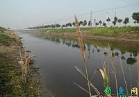 无名野河痛击沉水鳊又擒小黄军最后斩获大板鲫