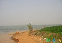 长竿传统野钓大水面垂钓大板鲫