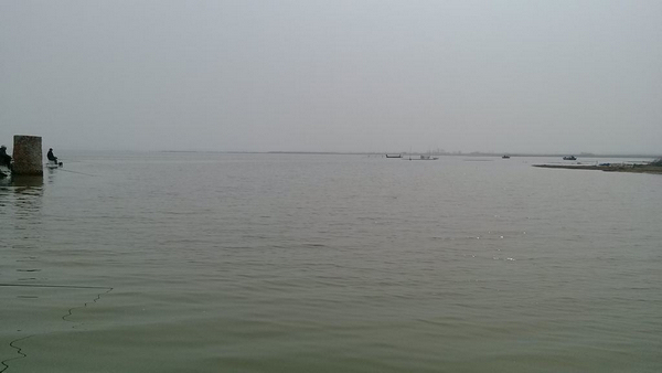 水库钓鲤鱼