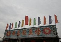 十二米长竿战黑坑擒获数条大草鱼