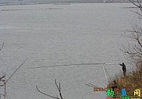 爽钓仙人坝大鲤又大鲫