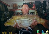 钓鱼王饵料圆我大鱼梦24斤大鲤鱼