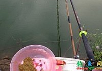 钓鱼塘成功150元每小时钓获草鱼鲤鱼92斤
