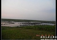 丹江水库小钓原了鲤鱼梦