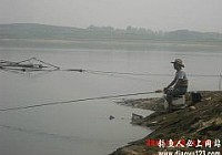 雨前雨后爽钓鸭河水库满载而归