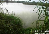 自留地小爽各种鱼儿频上钩