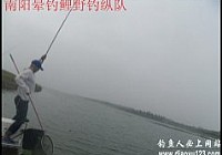 晕钓鲤野钓战队激战鸭河水库